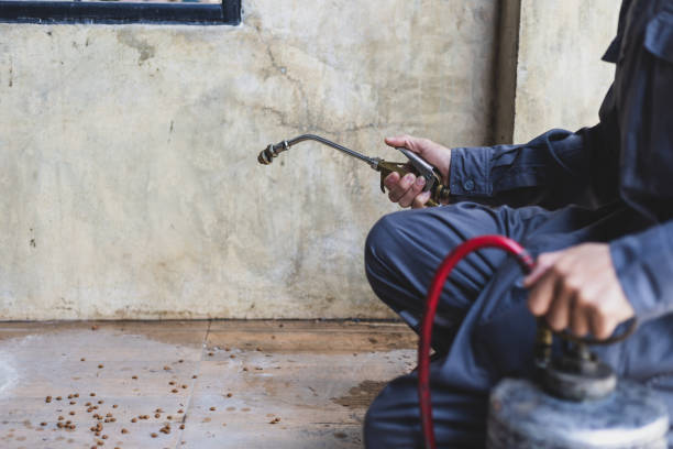 Best Local Pest Control Services  in Valley Green, PA